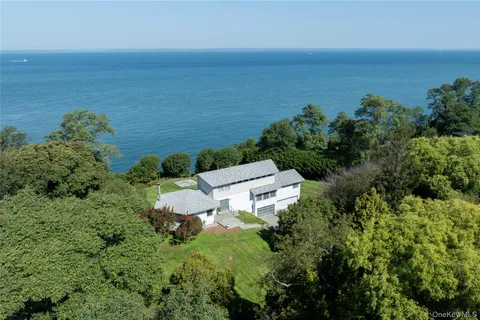 a view of a flower arrangement in backyard