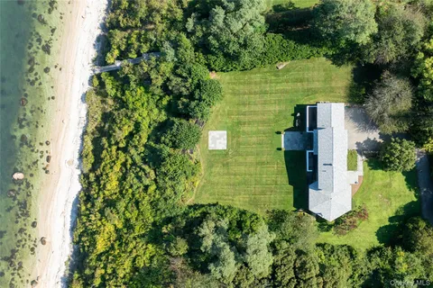 a view of a garden with plants