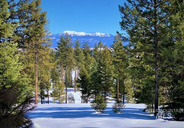 $385,000 | Lot 1 Bella View Drive, McCall, ID 83638