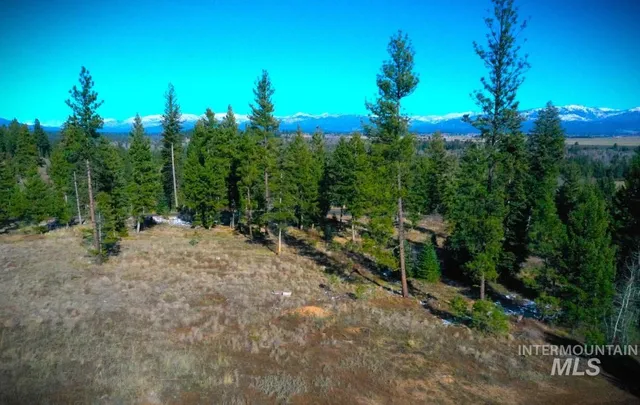 $385,000 | Lot 1 Bella View Drive, McCall, ID 83638