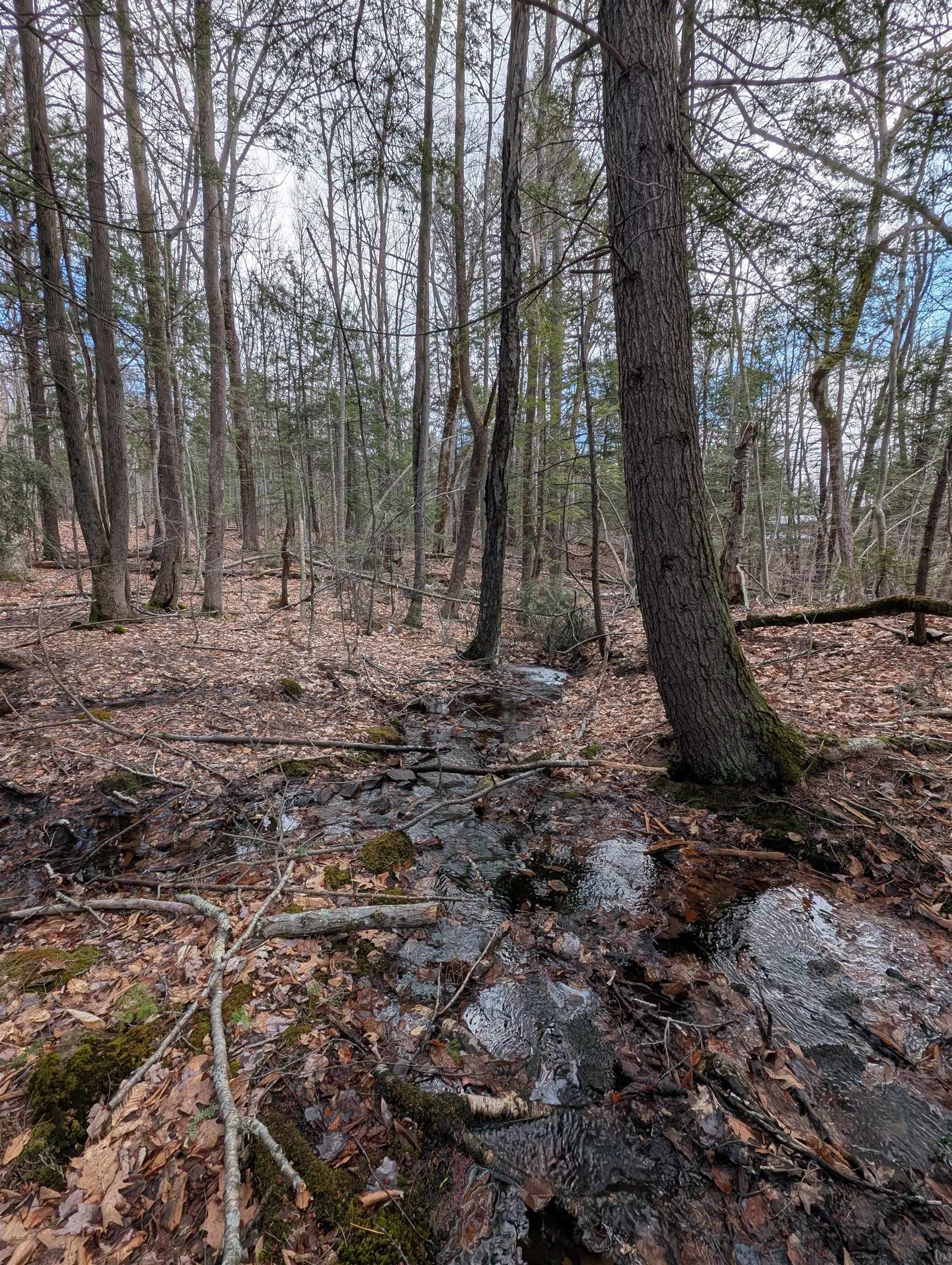 21 Jewett Road Weare, NH 03281 - Photo 13 of 18 Gallery Image 13
