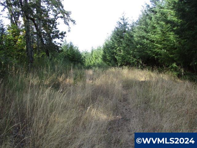 0 Northwest Crane (4) Road Yamhill, OR 97148 - Photo 1 of 12