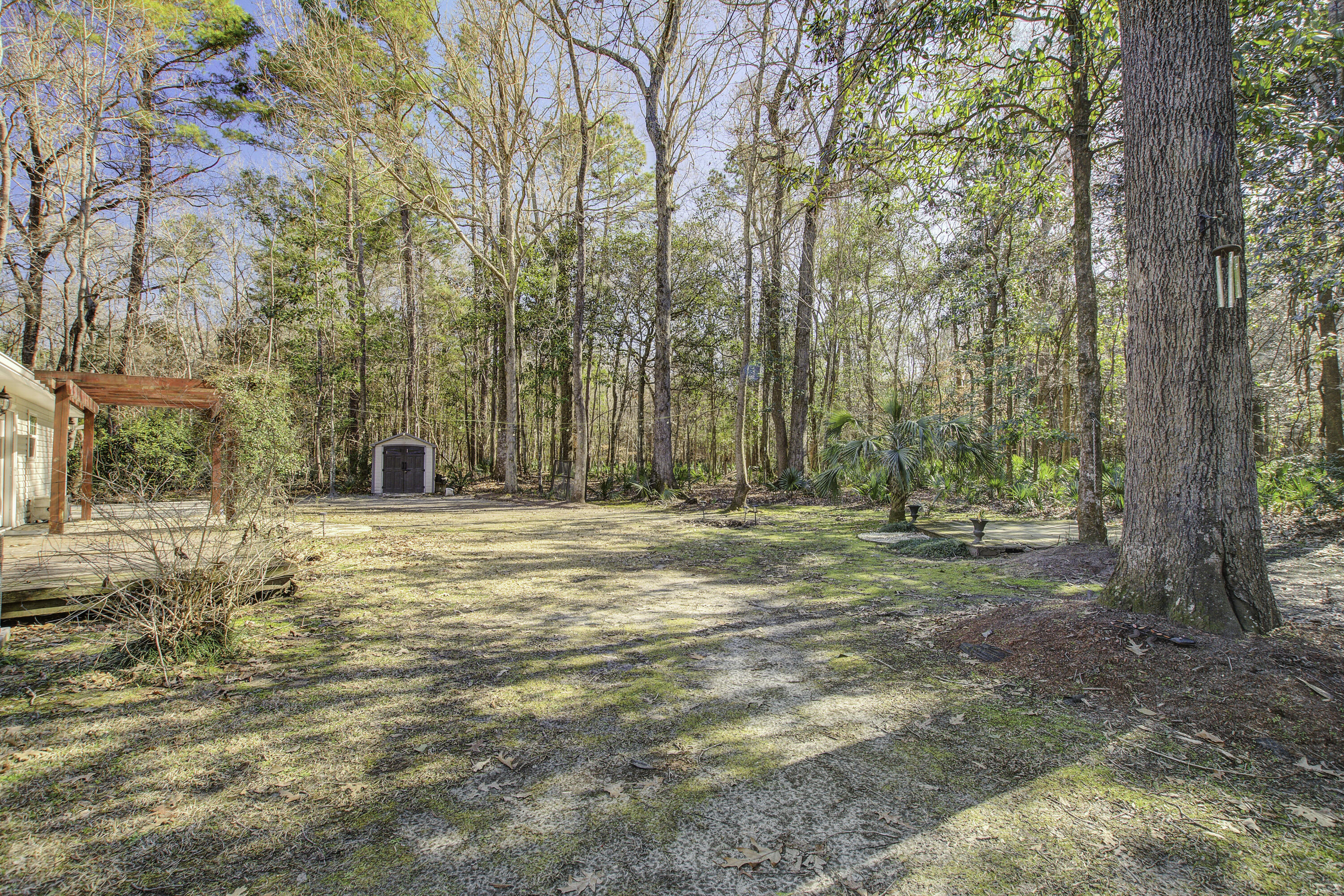 3441 Berryhill Road Johns Island, SC 29455 - Photo 31 of 40 Back Yard