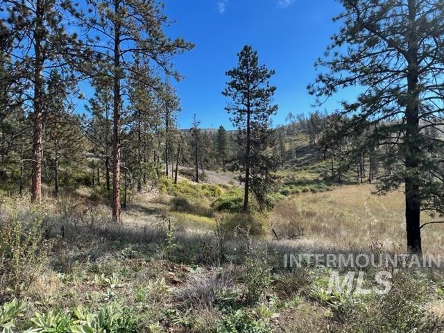 Tbd Lot 1 Tbd Road Kamiah, ID 83536 - Photo 4 of 8