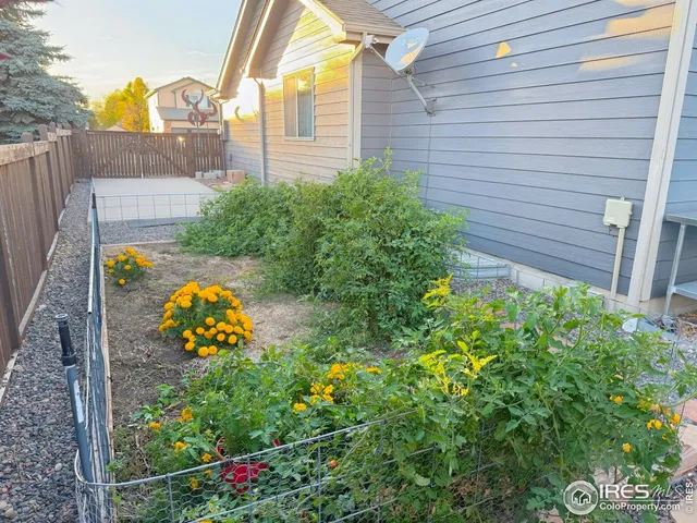 a view of a bird bath