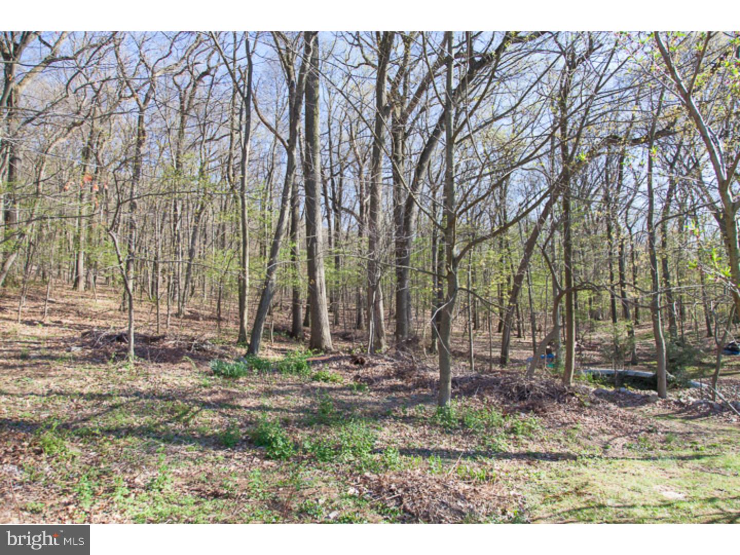 2010 Reservoir Road Reading, PA 19604 - Photo 18 of 23