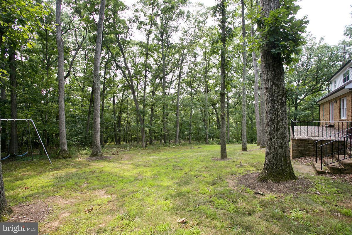 1440 Jordan Springs Road Stephenson, VA 22656 - Photo 28 of 30 Exterior (Rear)