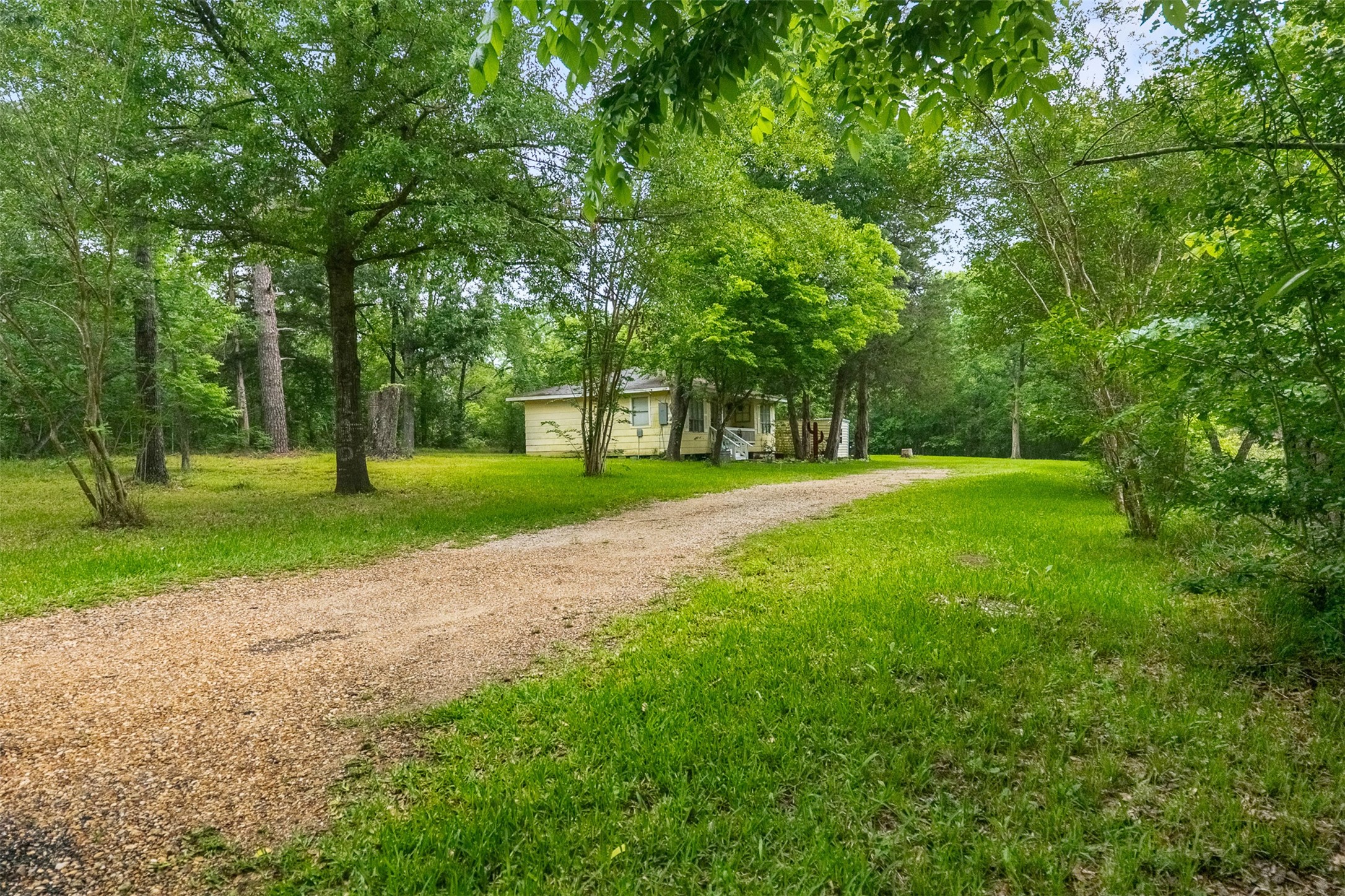 280 The Woods Road Coldspring, TX 77331 - Photo 37 of 38