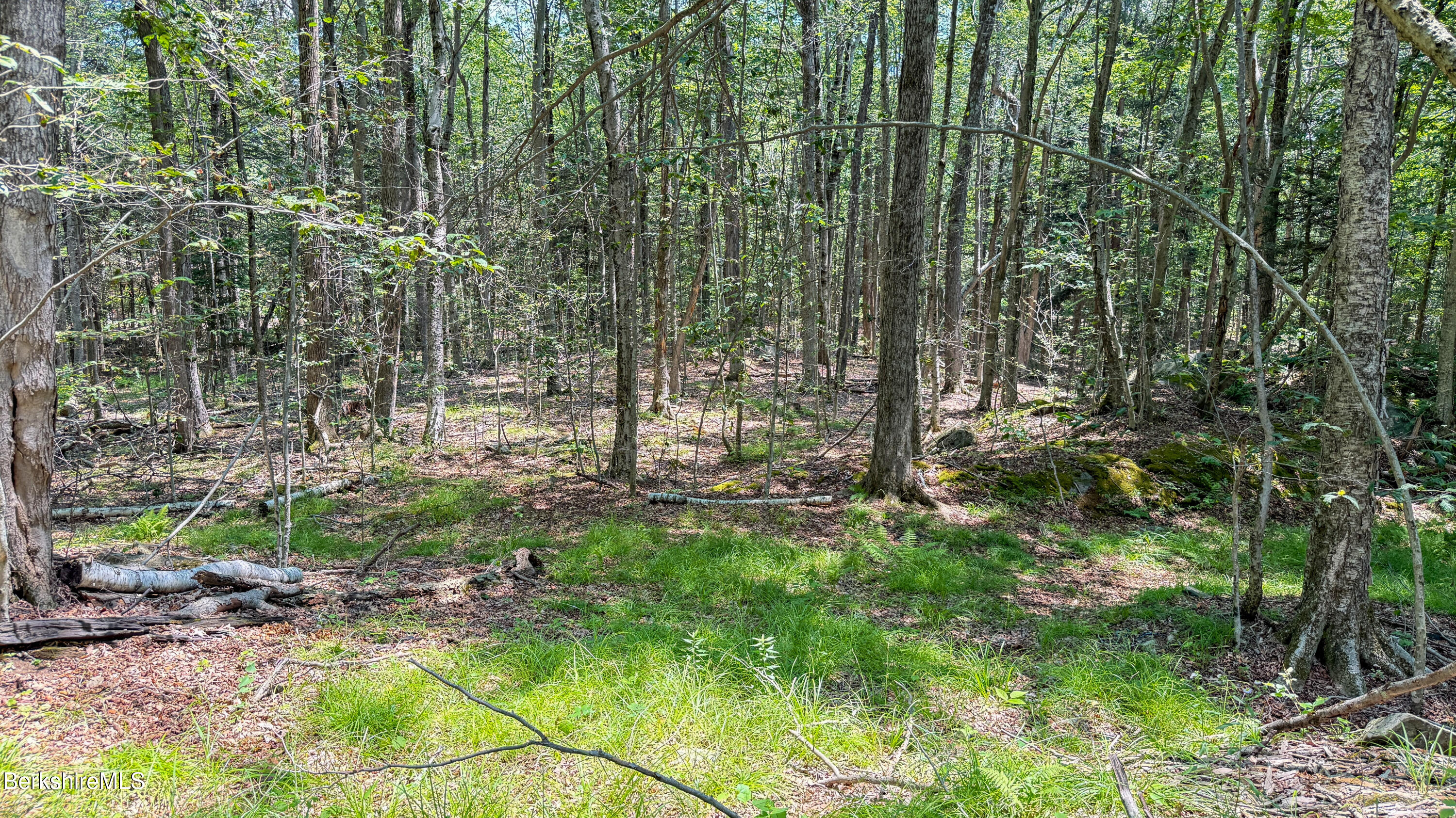 258 Captain Whitney Road Becket, MA 01223 - Photo 30 of 33 258 CAPTAIN WHITNEY ROAD