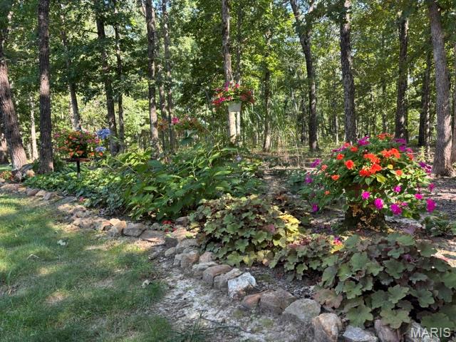 484 Dunham Road St. James, MO 65559 - Photo 24 of 85 Gallery Image 24