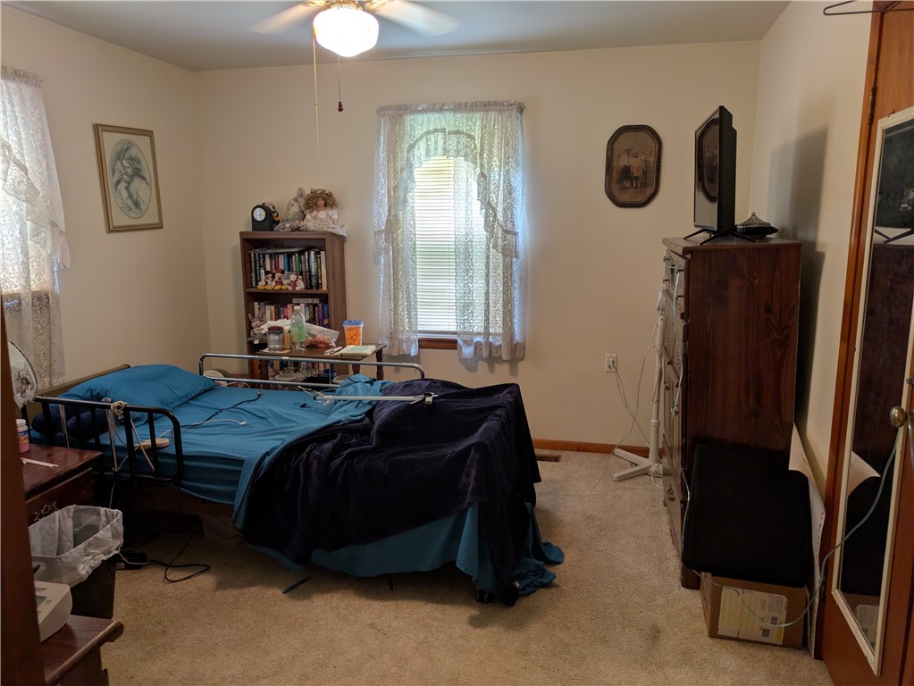 409 East Adams Street Paris, IL 61944 - Photo 8 of 13