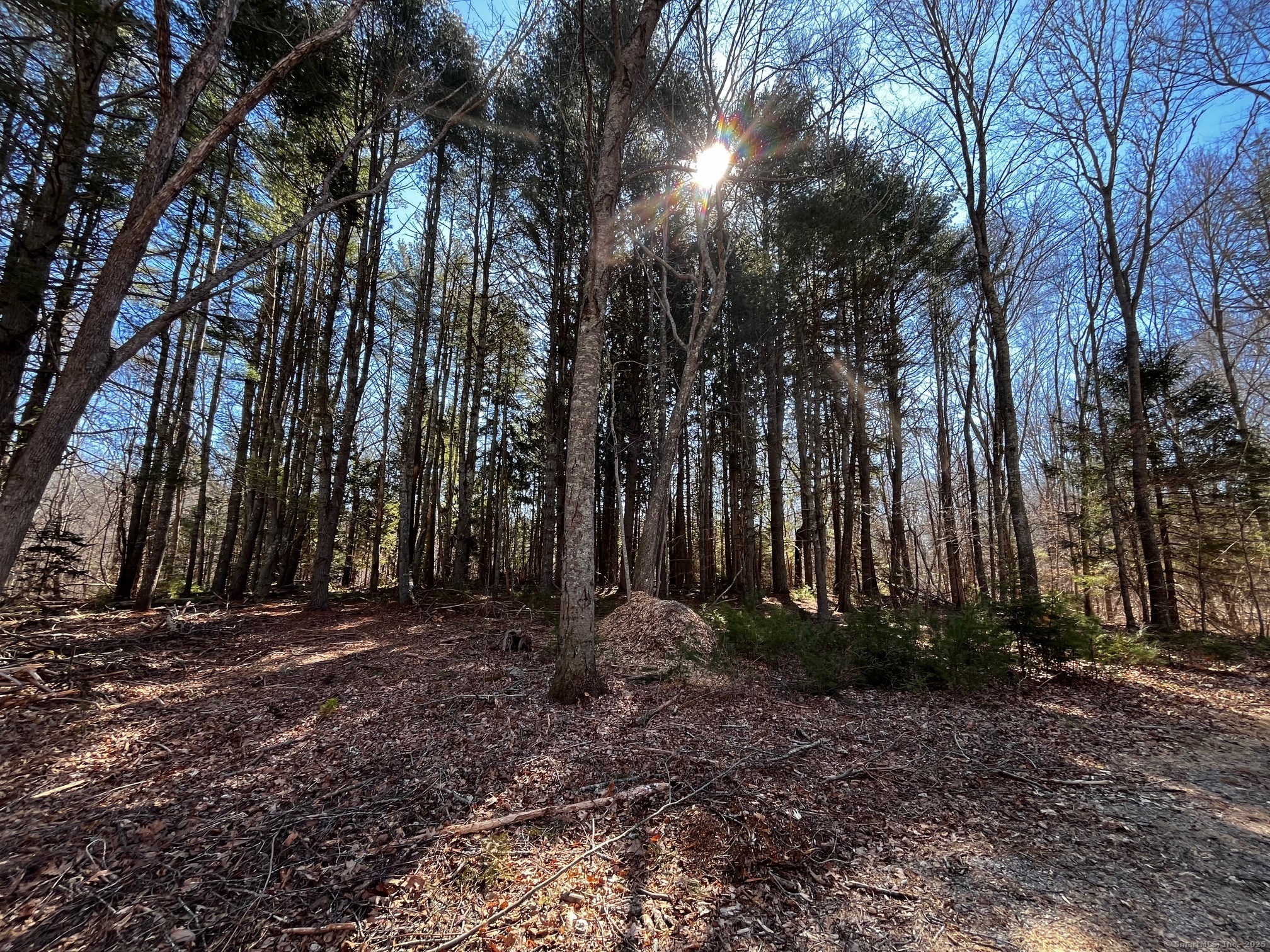 41-1 Whippoorwill Road Old Lyme, CT 06371 - Photo 5 of 8 a view of outdoor space with trees