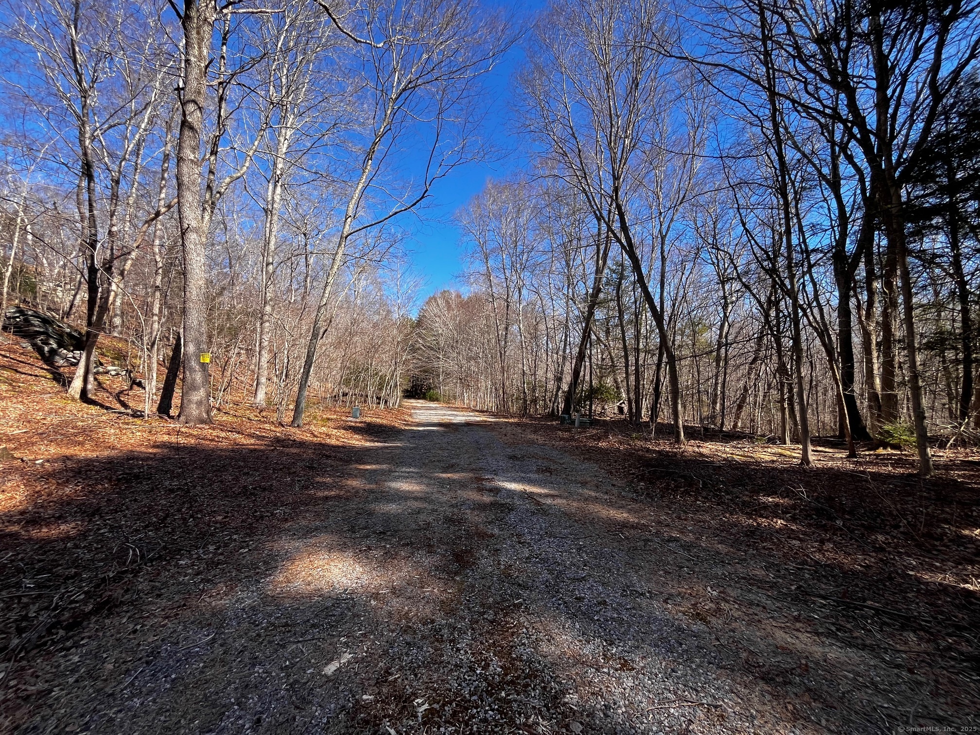 41-1 Whippoorwill Road Old Lyme, CT 06371 - Photo 6 of 8 a view of dirt yard with a large tree