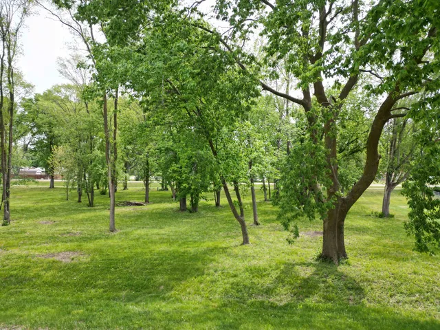 a view of a trees with a backyard