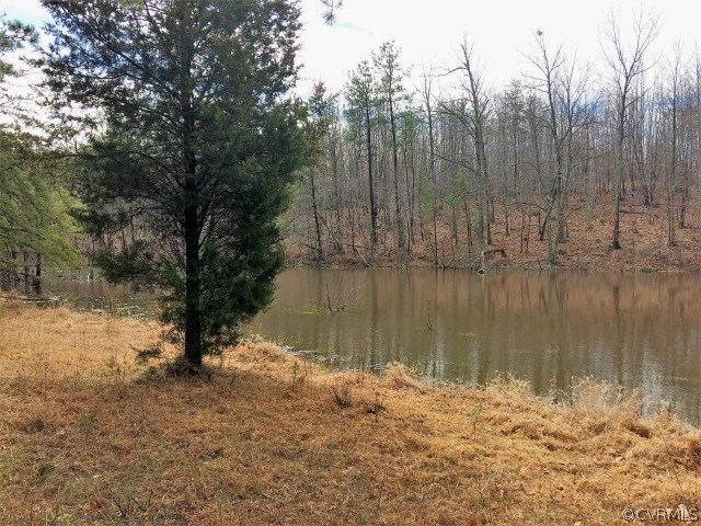 0 Avon Road Dillwyn, VA 23936 - Photo 4 of 6 a lake view with mountain view