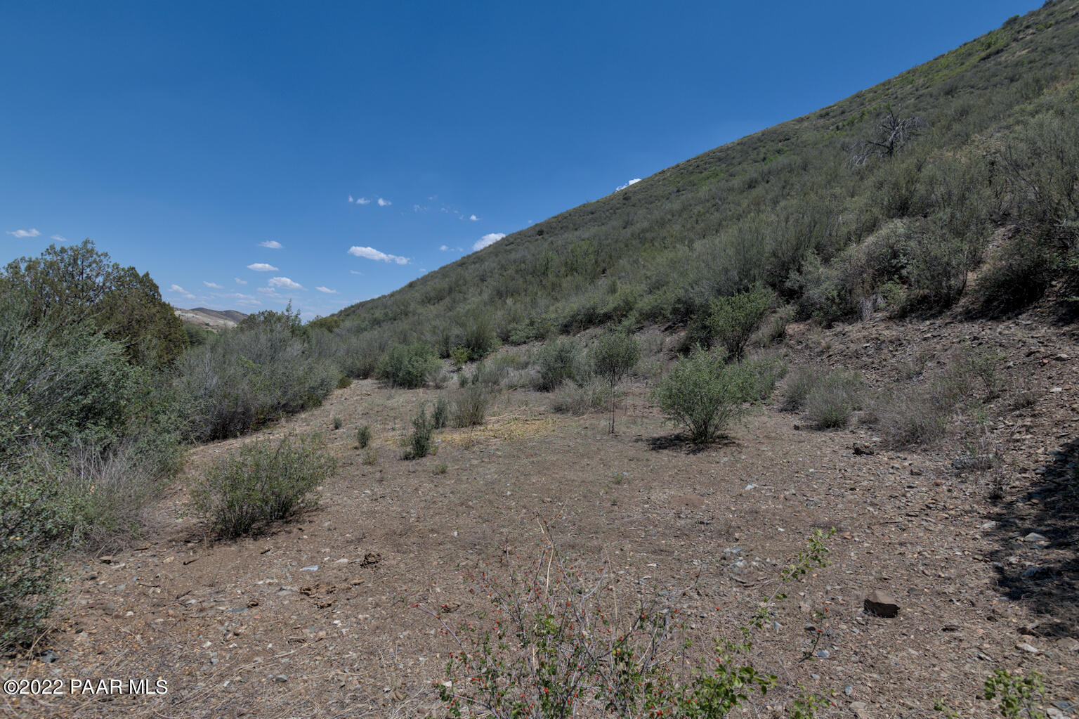 9375 East E B 8 Ranch Road Mayer, AZ 86333 - Photo 10 of 13 D85_1719_mls