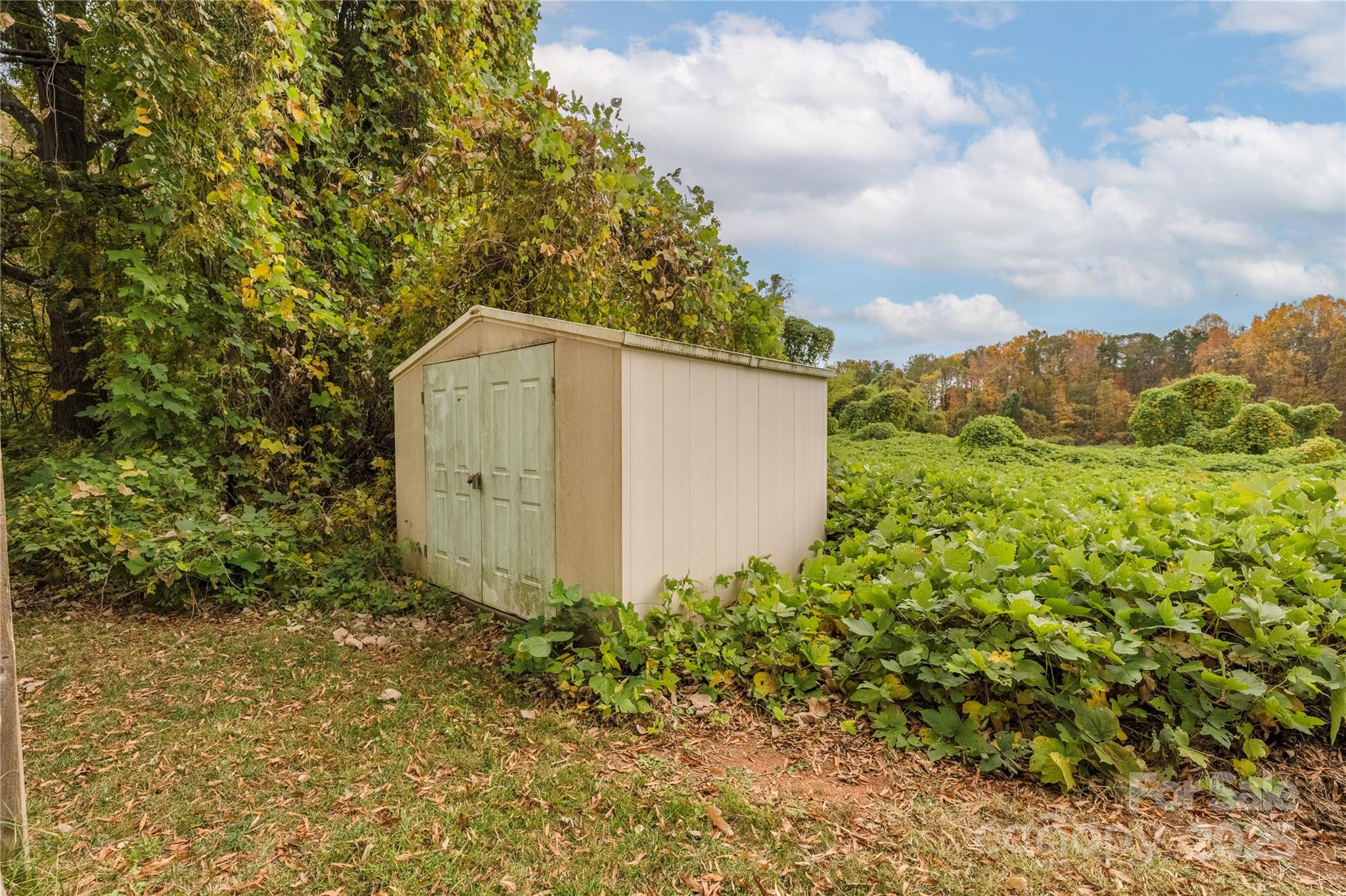 117 Clodfelter Road Mooresville, NC 28115 - Photo 34 of 39 a backyard of a house with lots of green space