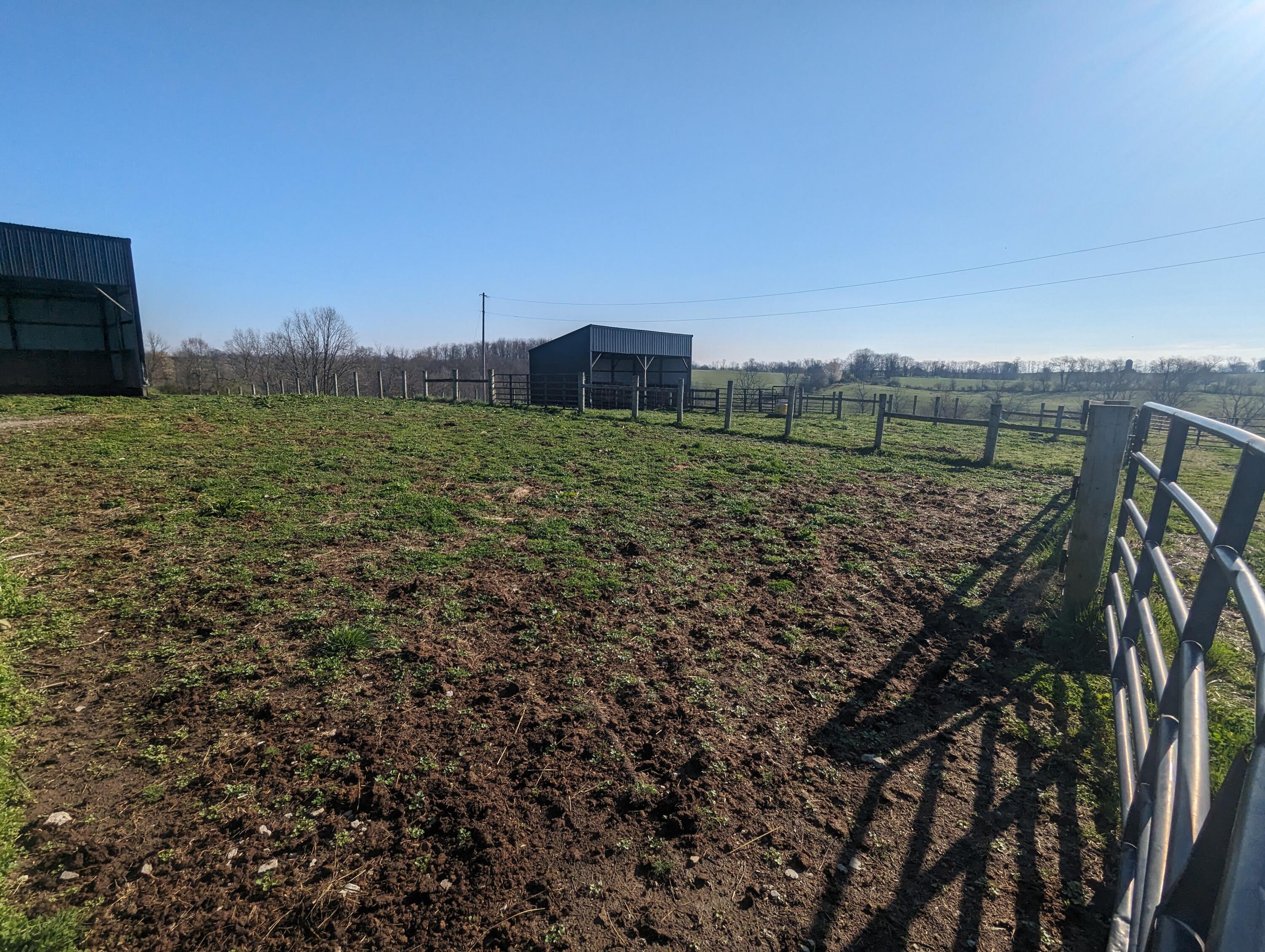 268 Monson Road Cynthiana, KY 41031 - Photo 21 of 30 PXL_20240327_135608321