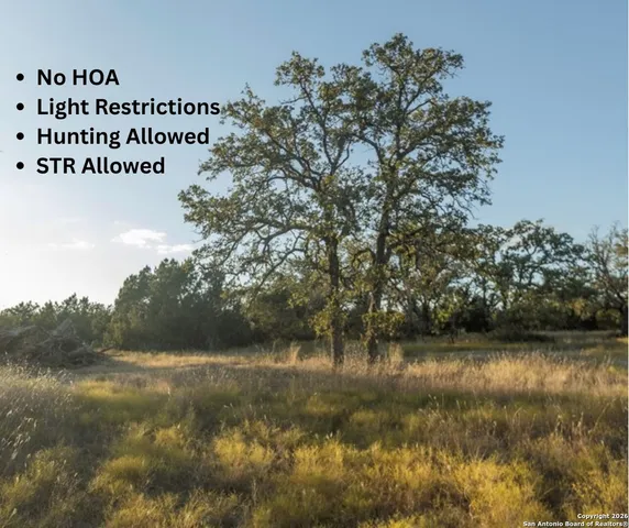 a view of a large body of water surrounded by trees