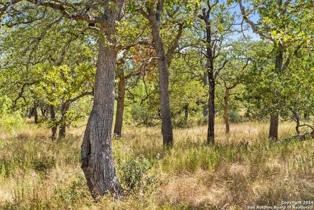 $470,000 | Herbert-schaefer St Fredericksburg Tx 78624, Fredericksburg, TX 78624