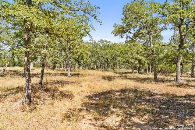 $470,000 | Herbert-schaefer St Fredericksburg Tx 78624, Fredericksburg, TX 78624