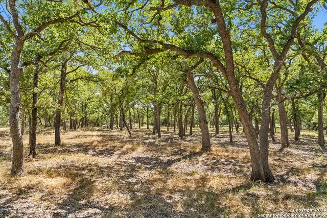 $470,000 | Herbert-schaefer St Fredericksburg Tx 78624, Fredericksburg, TX 78624