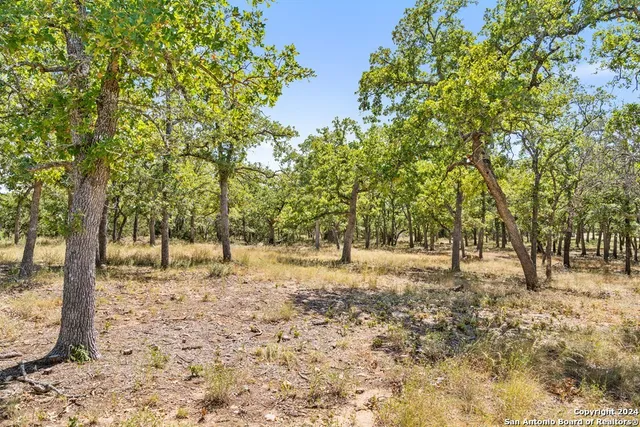 $470,000 | Herbert-schaefer St Fredericksburg Tx 78624, Fredericksburg, TX 78624