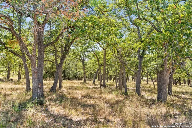 $470,000 | Herbert-schaefer St Fredericksburg Tx 78624, Fredericksburg, TX 78624