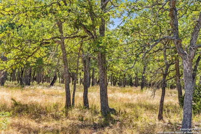 $470,000 | Herbert-schaefer St Fredericksburg Tx 78624, Fredericksburg, TX 78624