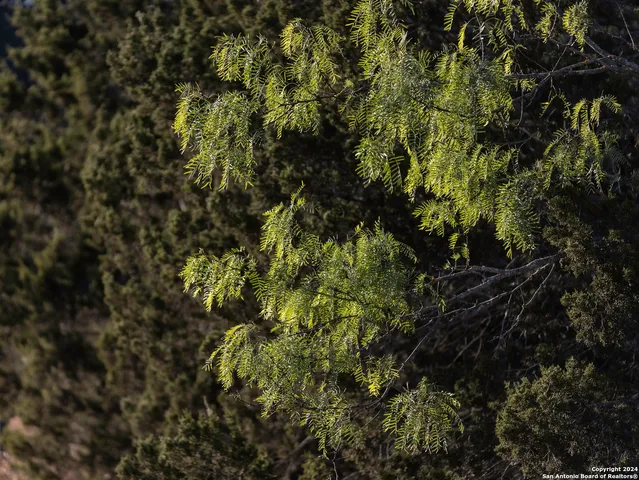 $470,000 | Herbert-schaefer St Fredericksburg Tx 78624, Fredericksburg, TX 78624