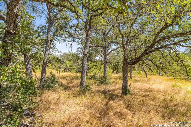 $470,000 | Herbert-schaefer St Fredericksburg Tx 78624, Fredericksburg, TX 78624