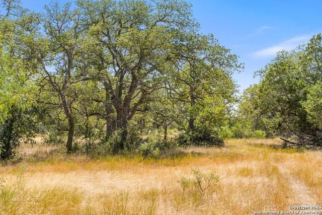 $470,000 | Herbert-schaefer St Fredericksburg Tx 78624, Fredericksburg, TX 78624