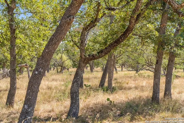 $470,000 | Herbert-schaefer St Fredericksburg Tx 78624, Fredericksburg, TX 78624