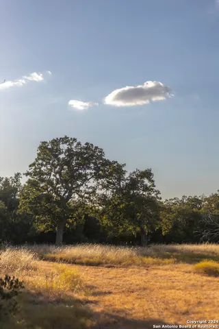 $470,000 | Herbert-schaefer St Fredericksburg Tx 78624, Fredericksburg, TX 78624