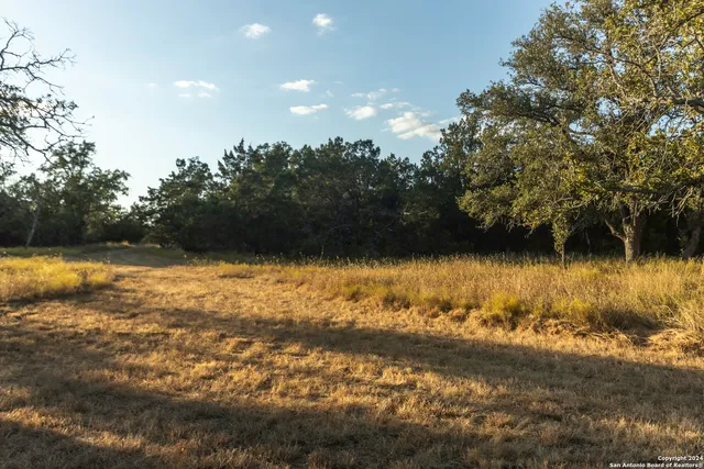 $470,000 | Herbert-schaefer St Fredericksburg Tx 78624, Fredericksburg, TX 78624