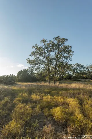 $470,000 | Herbert-schaefer St Fredericksburg Tx 78624, Fredericksburg, TX 78624