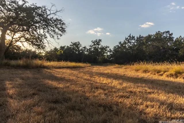 $470,000 | Herbert-schaefer St Fredericksburg Tx 78624, Fredericksburg, TX 78624