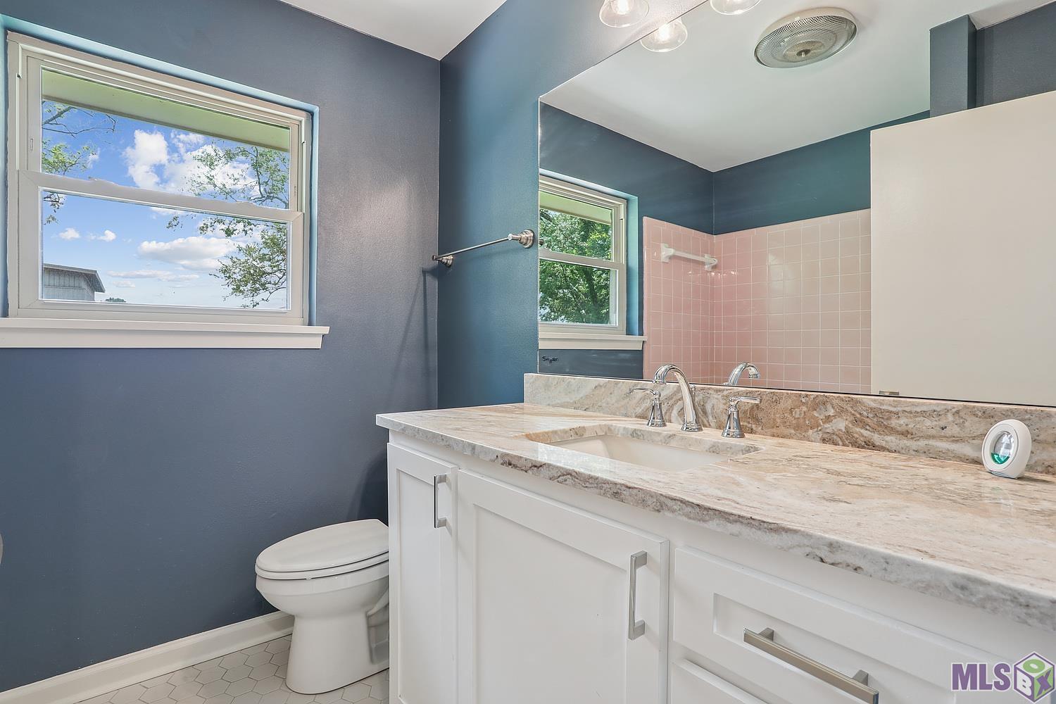 37037 John Street Geismar, LA 70734 - Photo 5 of 10