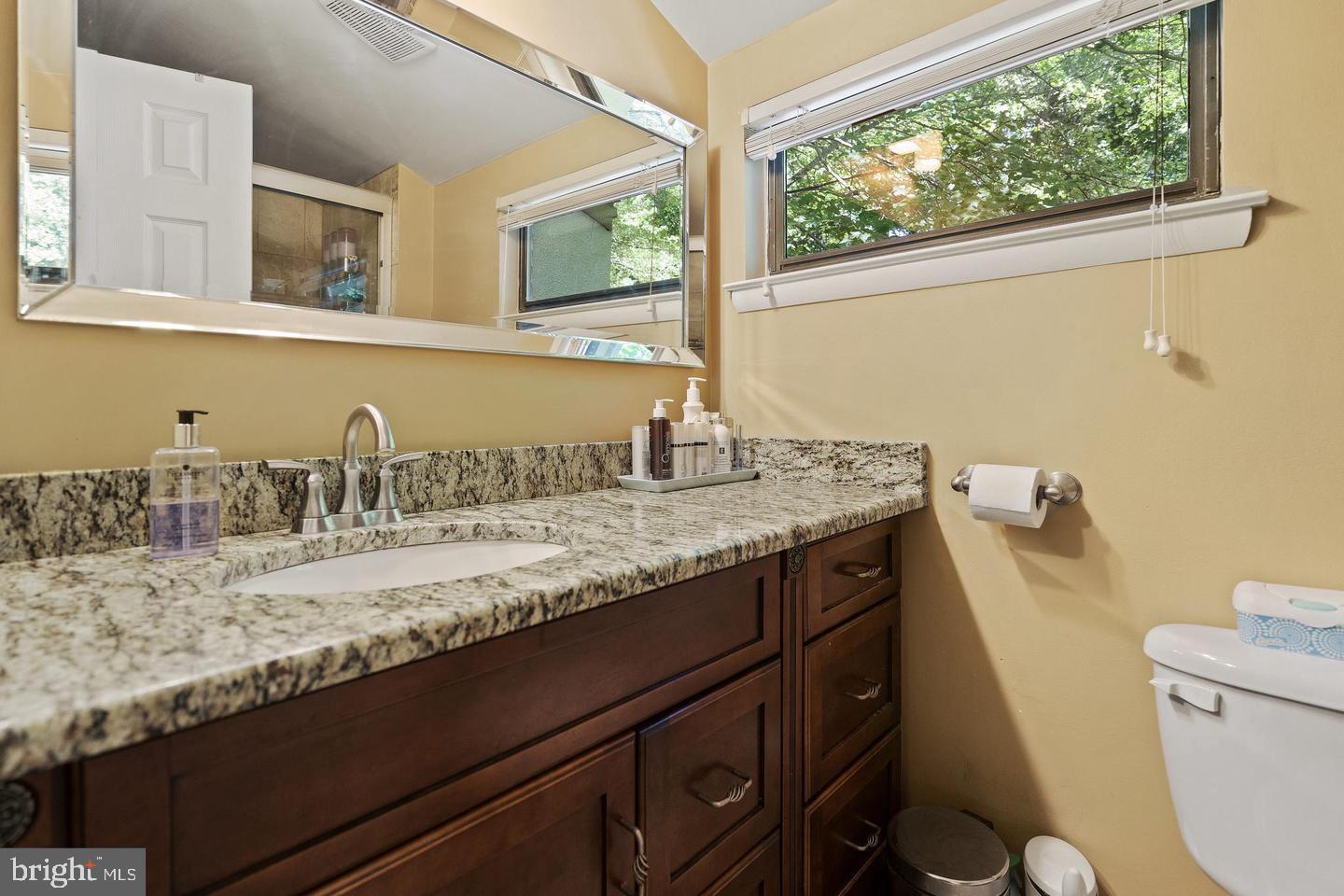 2343 Millennium Lane Reston, VA 20191 - Photo 19 of 34 Elegant bathroom with natural light.