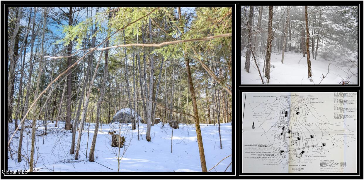 ADK Woods Lot 37 Cover