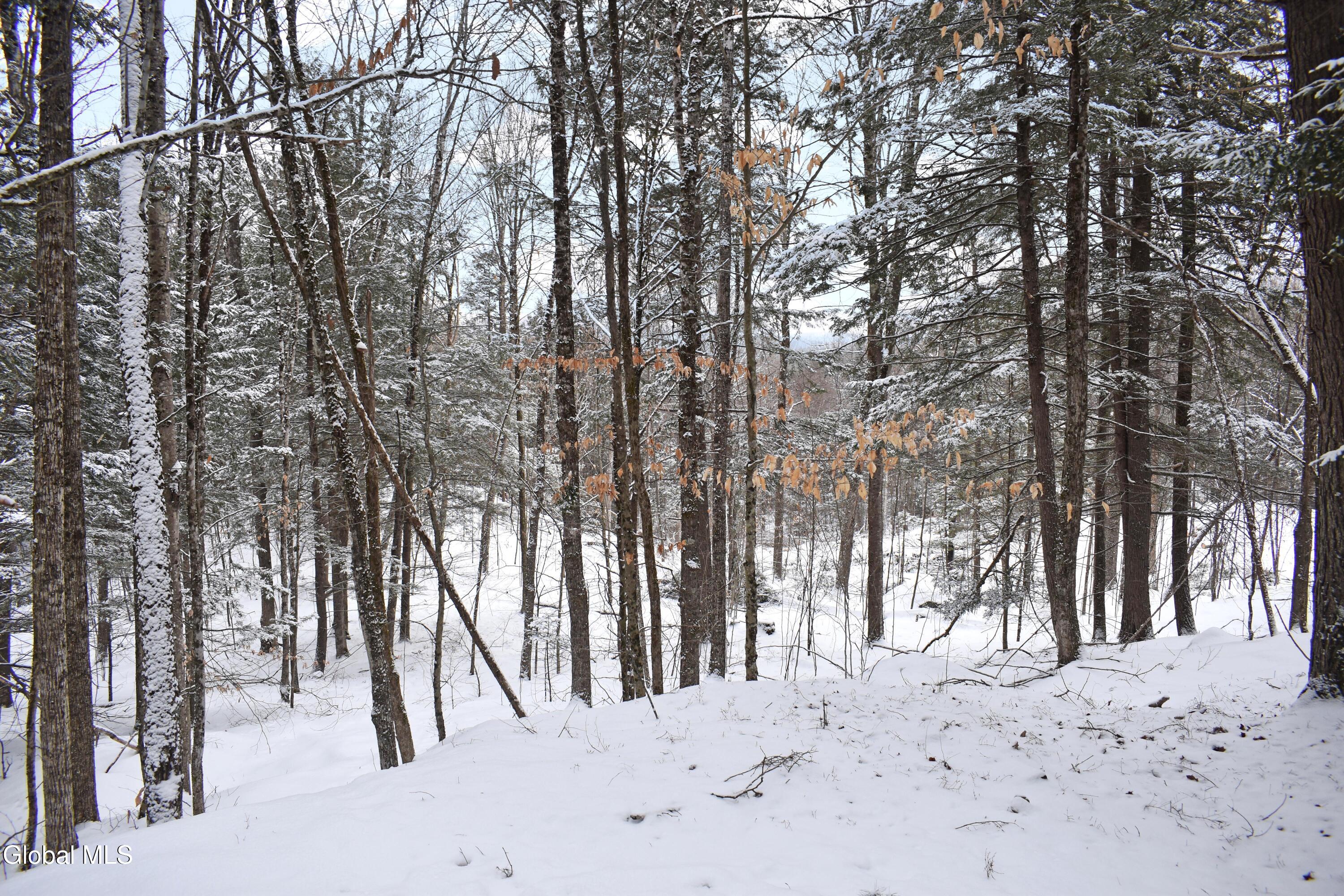 37 Carriage Knolls Road Chester, NY 12817 - Photo 11 of 25 DSC_0359