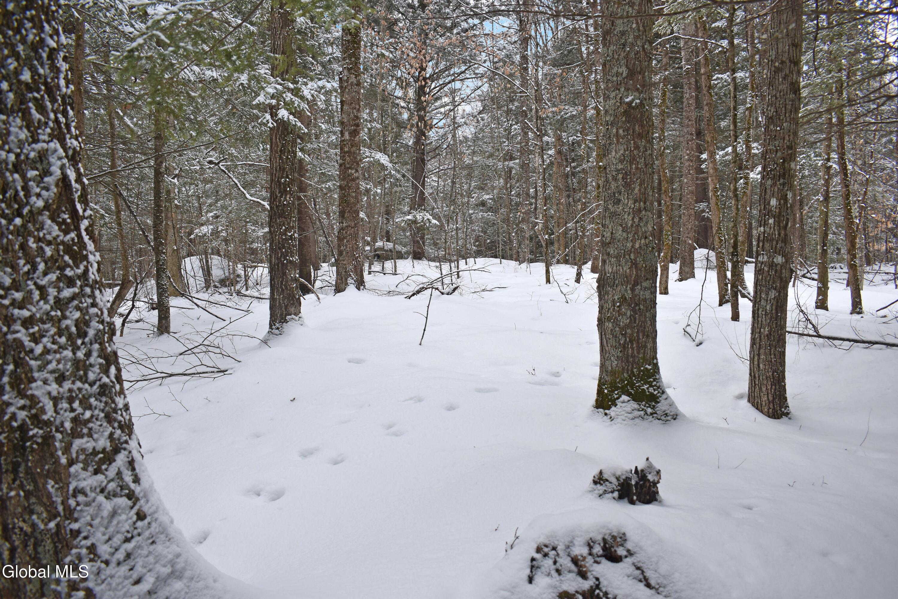 37 Carriage Knolls Road Chester, NY 12817 - Photo 12 of 25 DSC_0360