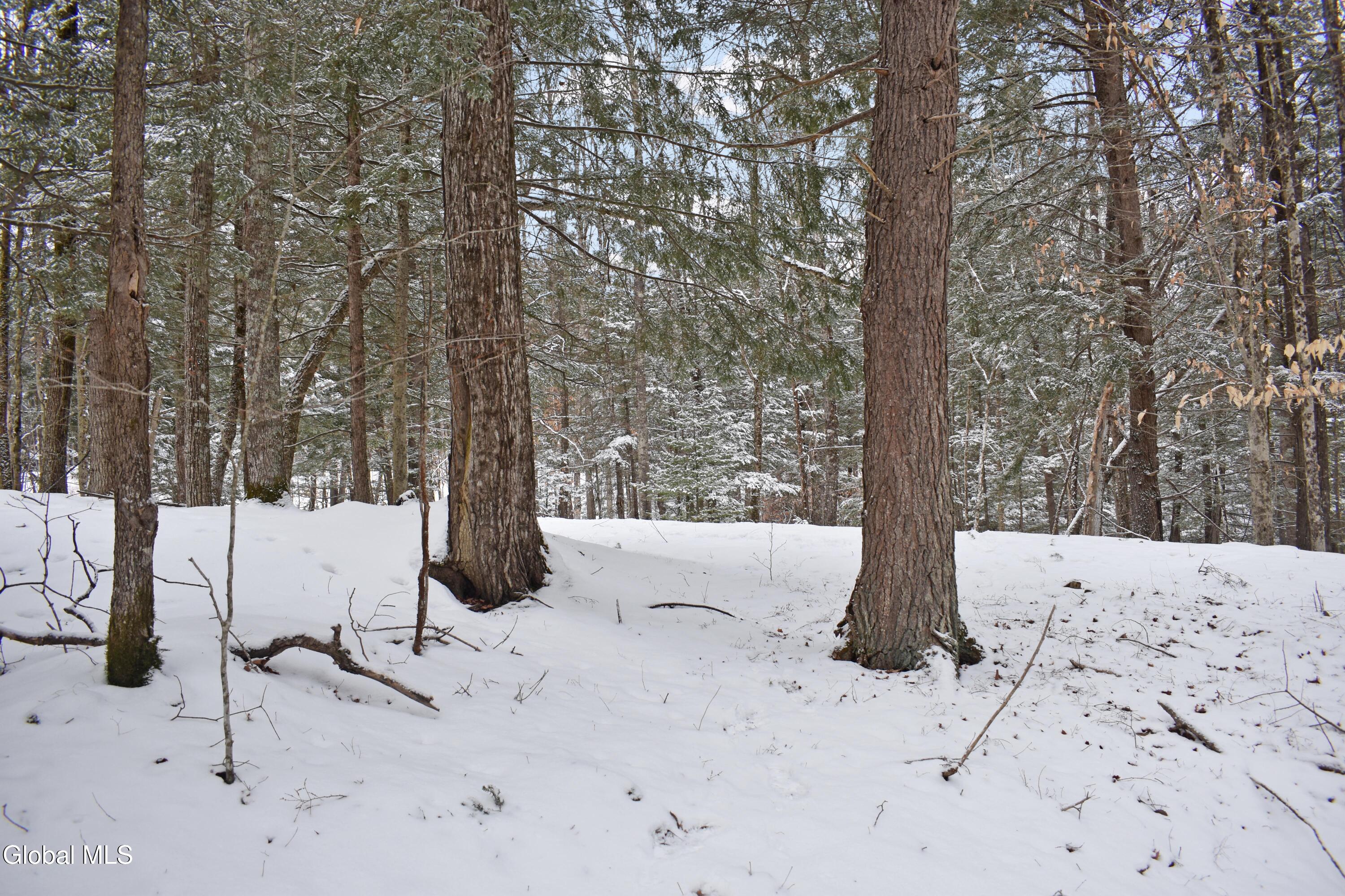37 Carriage Knolls Road Chester, NY 12817 - Photo 13 of 25 DSC_0362
