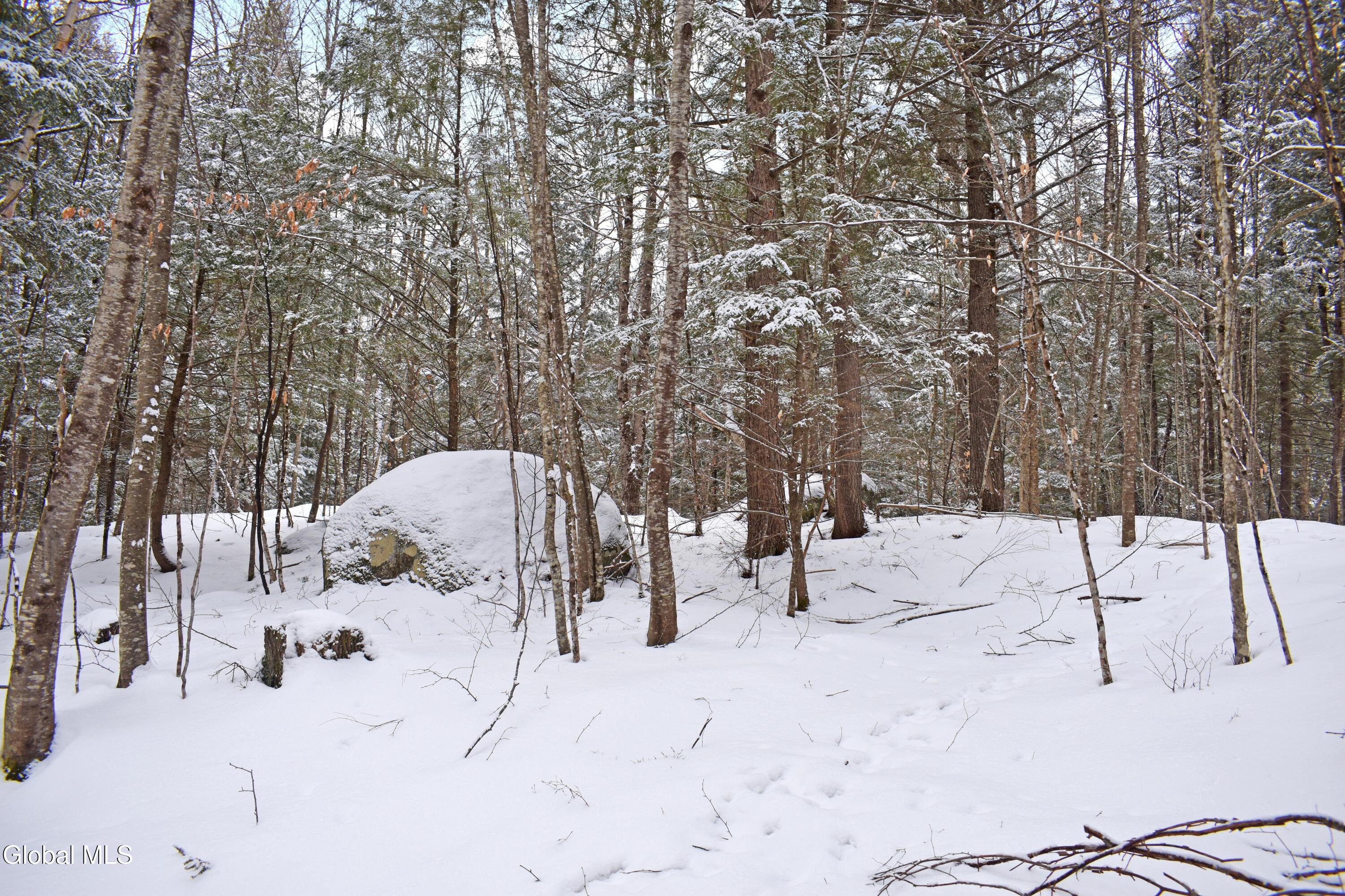 37 Carriage Knolls Road Chester, NY 12817 - Photo 14 of 25 DSC_0363