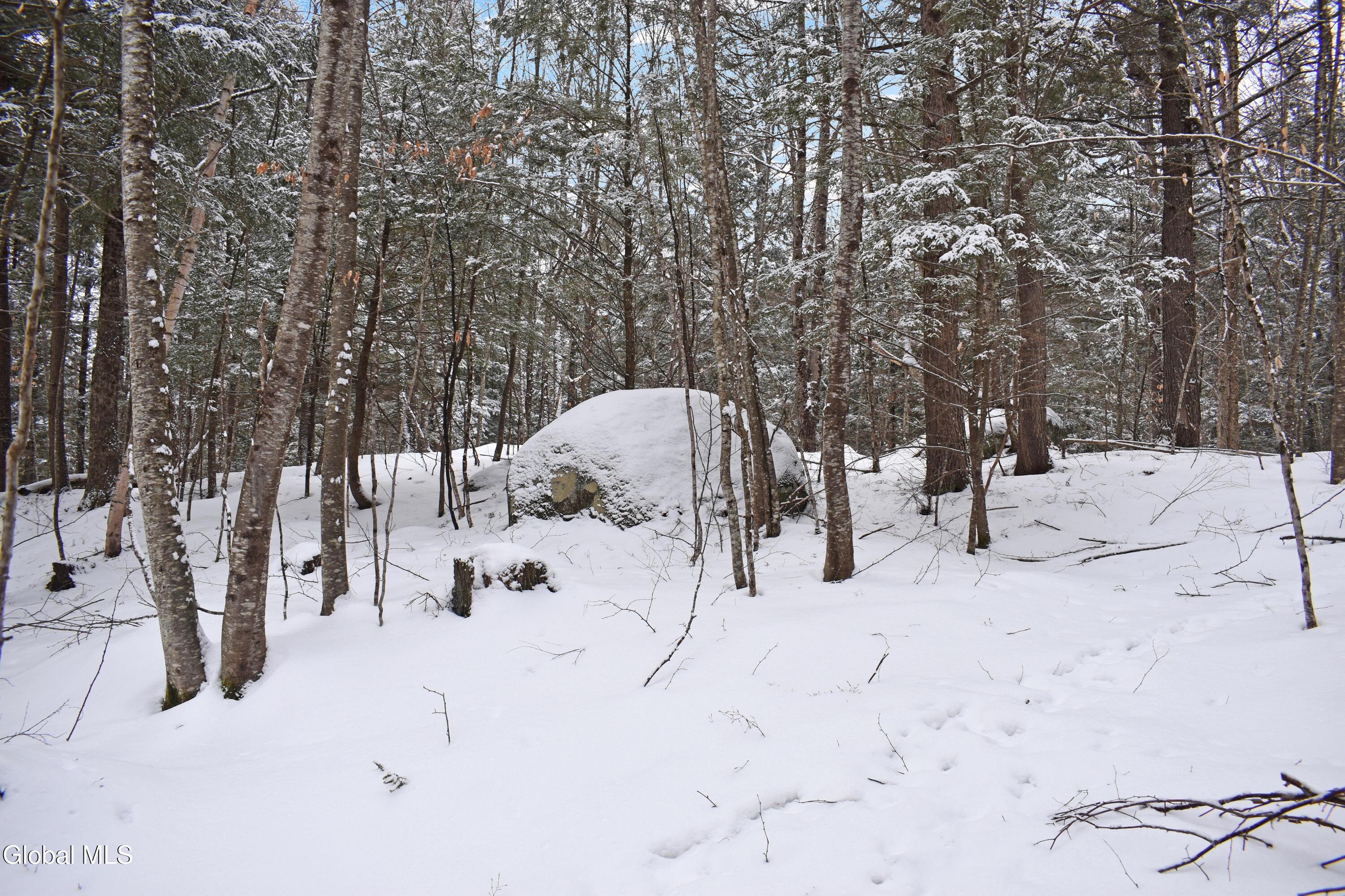 37 Carriage Knolls Road Chester, NY 12817 - Photo 15 of 25 DSC_0364