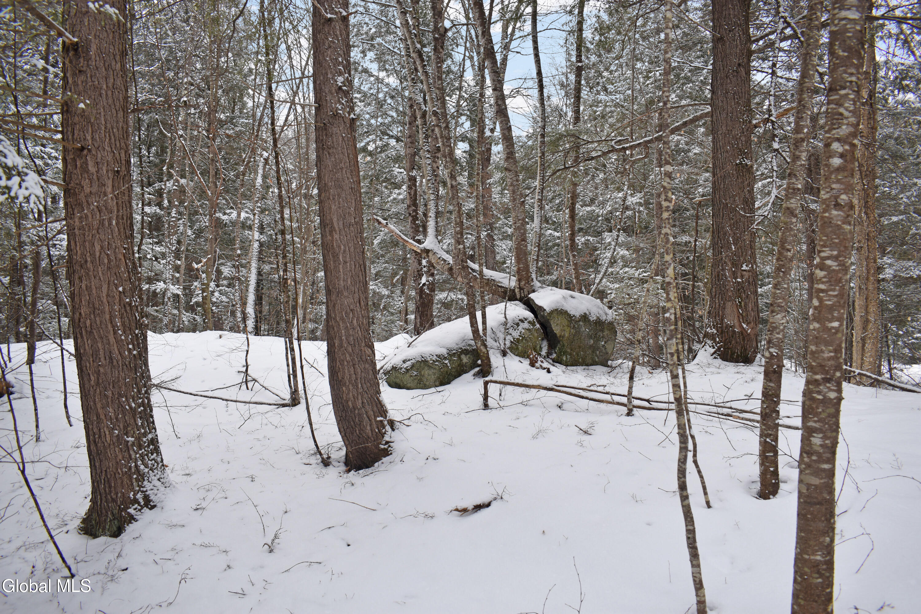 37 Carriage Knolls Road Chester, NY 12817 - Photo 16 of 25 DSC_0365