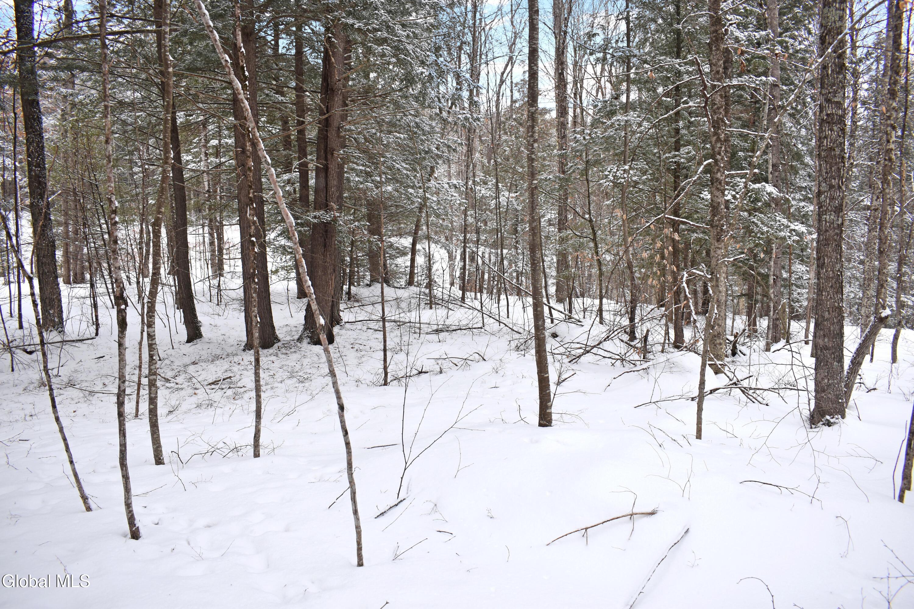37 Carriage Knolls Road Chester, NY 12817 - Photo 17 of 25 DSC_0368