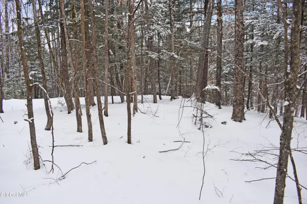 $39,000 | 37 Carriage Knolls Road, Chester, NY 12817