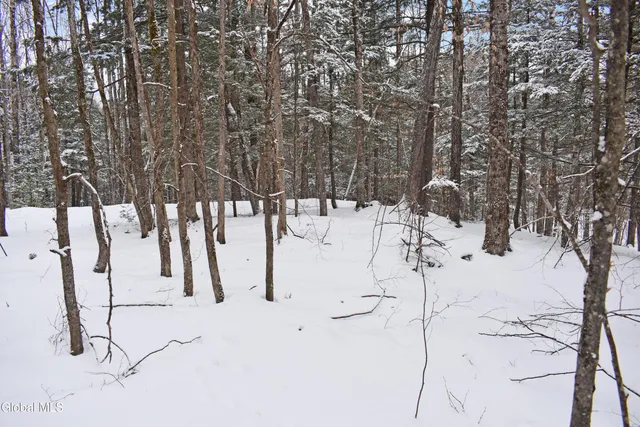 $39,000 | 37 Carriage Knolls Road, Chester, NY 12817