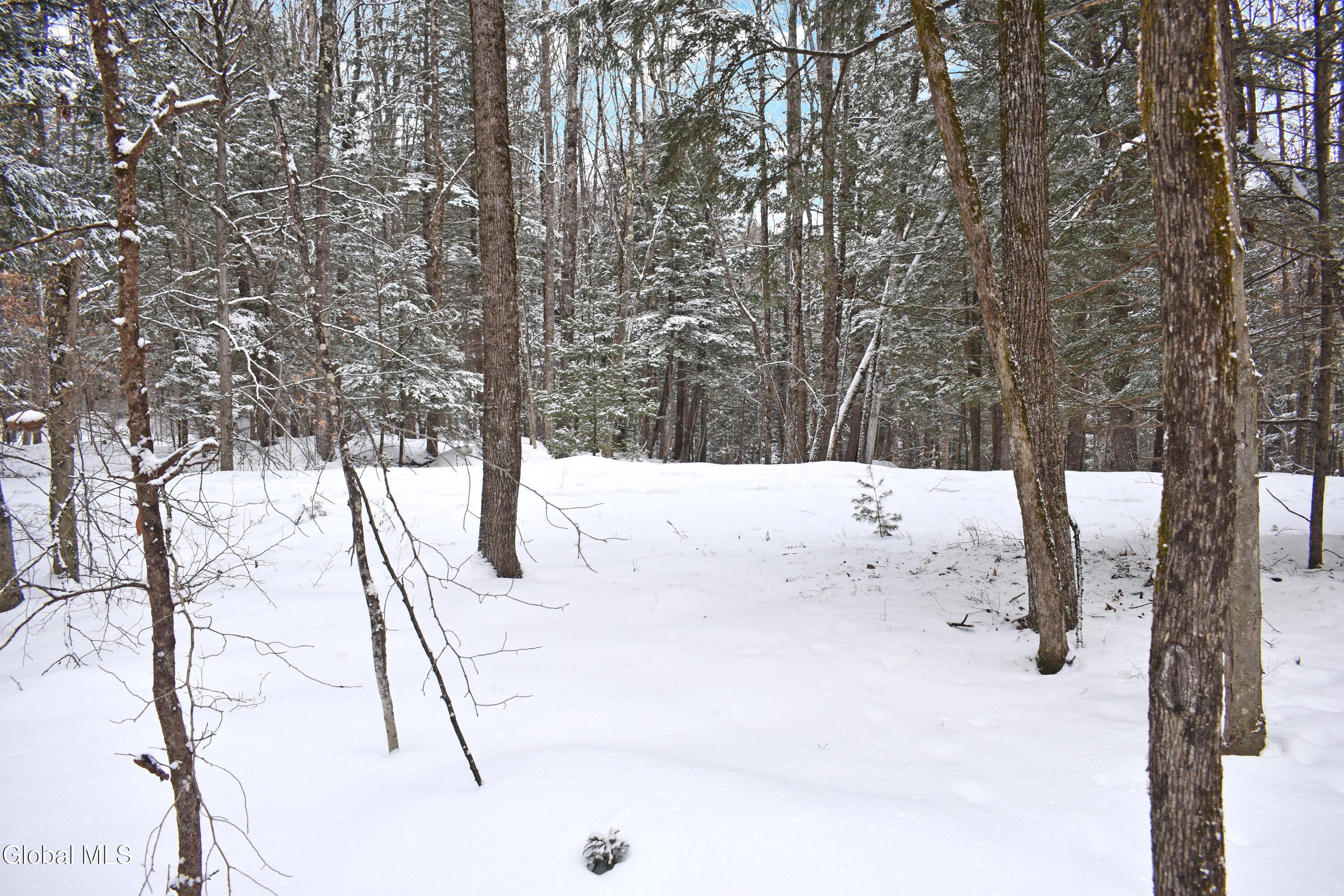 37 Carriage Knolls Road Chester, NY 12817 - Photo 19 of 25 DSC_0371